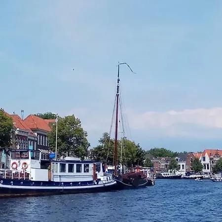 Amice * Haarlem