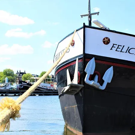 Amice Botel